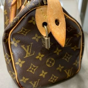Gorgeous LV Speedy 25 Bag